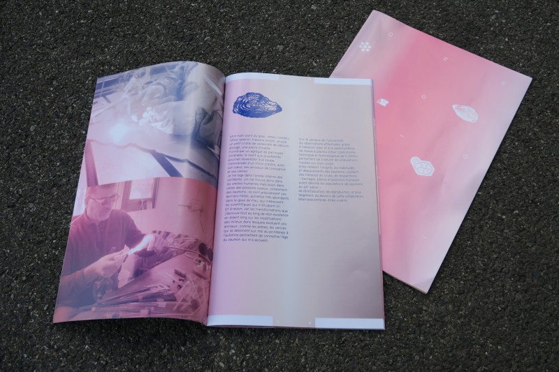 Édition M·Patrimoine